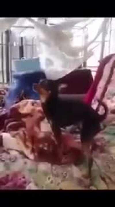 Dorlys et ses instants de plaisirs *mettez le son*