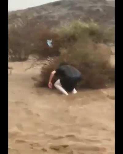 A guy saving stranded puppies