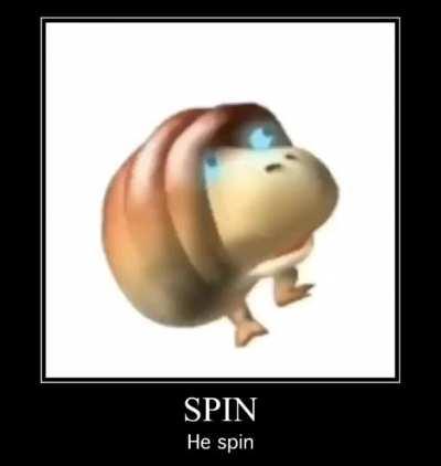 Spin