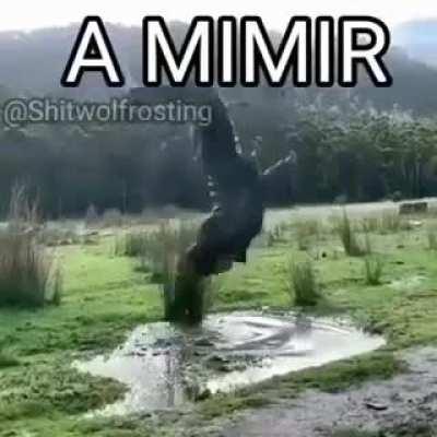 la baja la marca de agua