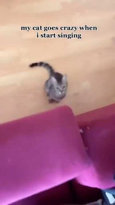 I said, no singing in this house!