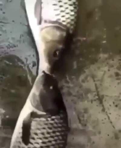 This could be me and you... but you playin