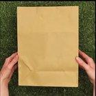 Everyone knows cooking in a paper bag over a fire is perfectly logical.