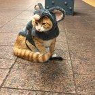 That’s one funny looking rat in the NYC Subway!