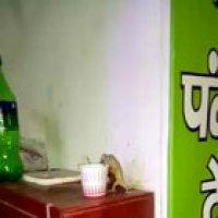 Just a gecko drinking some coffee