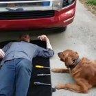 Helping dad fix the truck