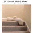 HoRrIfIc GrUeSoMe PuPpY oN pUpPy ViOlEnCe