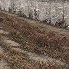 3 kids floating down a river on ice