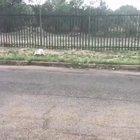 In case you needed this