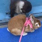 cutest thing I’ve seen all day