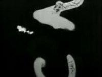 Probably a better one, idk