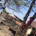 Doua cuvinte: Felicitari!