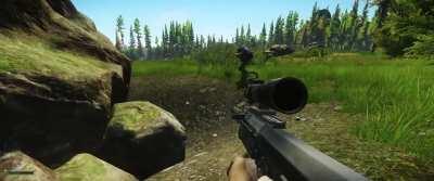 Partner moved to another rock… I didn’t notice.