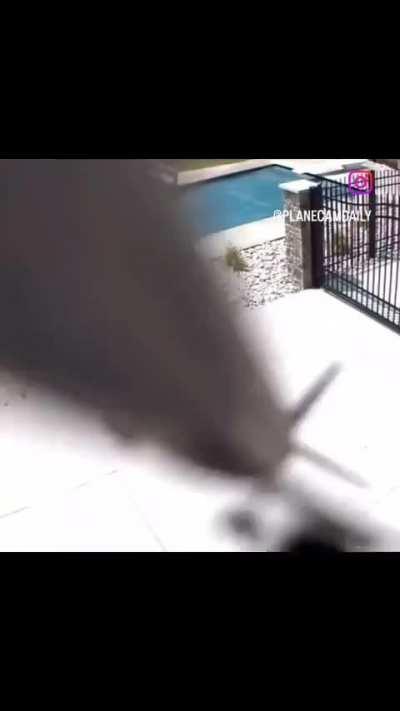 What kind of plain is this and how do I kill it?