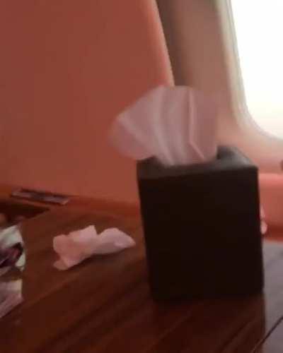 Tell me you love me 🖤