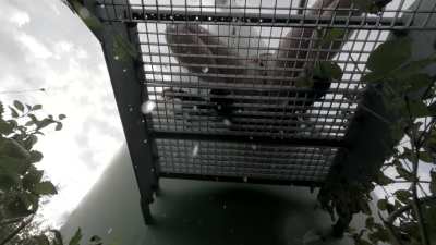 Can you drink all of it