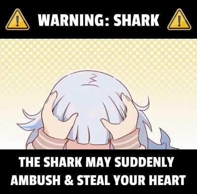 She attacc! 🦈