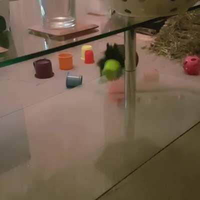 I think the stacking cups might need some practice... 😂