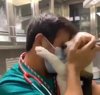 Medical professional having to deal with an unruly patient trying to take off their mask