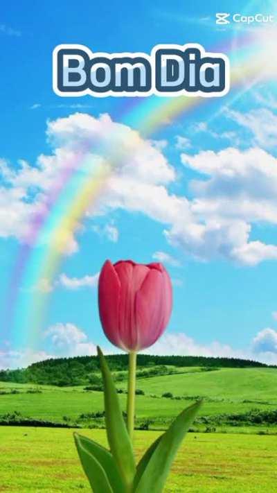 bom dia
