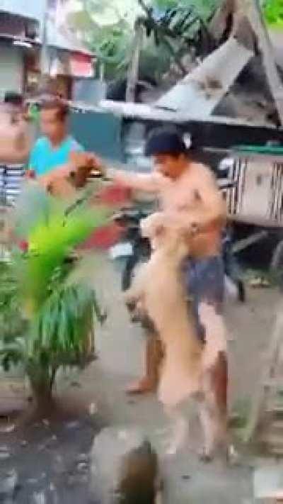 The real alpha male.