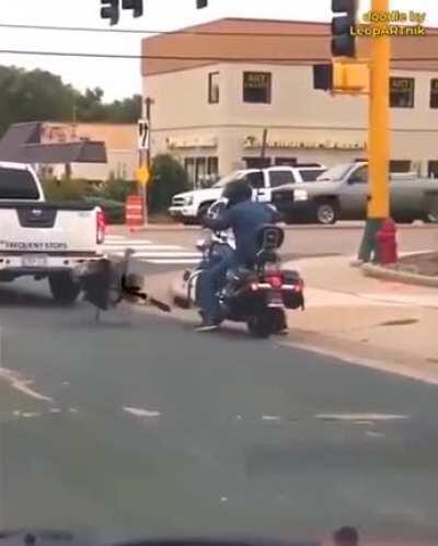 If Terminator came back as a turkey