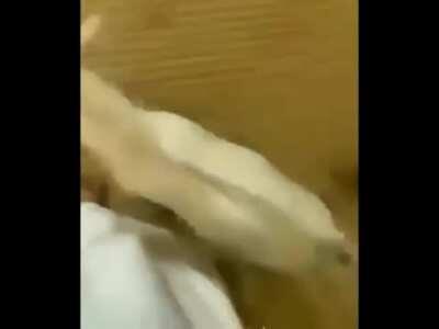 lisathepainfulrpg - Video #2023