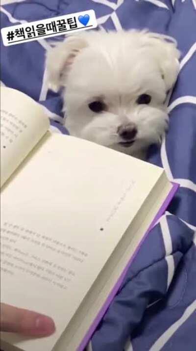 Working hard as a page turner