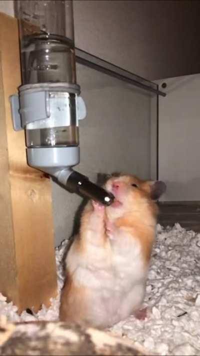 Slow-motion drinking