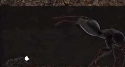 Content for the content god