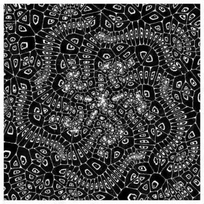 A very polite glitch.