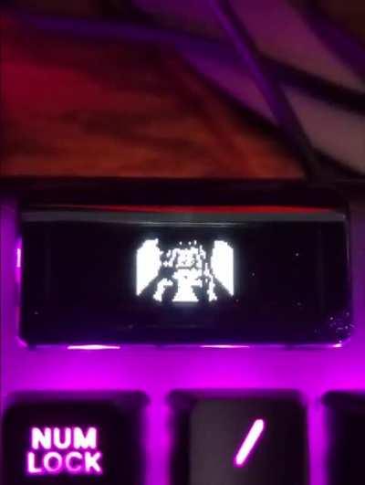 I got a Steelseries Apex 7 keyboard for Christmas and found out it had a little OLED screen you could put gifs and images on. I knew exactly what I had to do