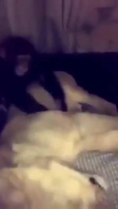 HUEstation - Video #5212