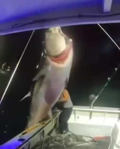 Hope you enjoyed your fishing trip, did you catch anythOOOMG!