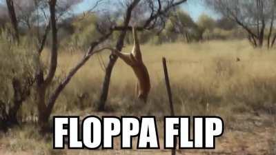Floppa Flip