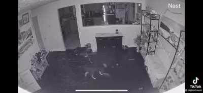 Plan executed successfully