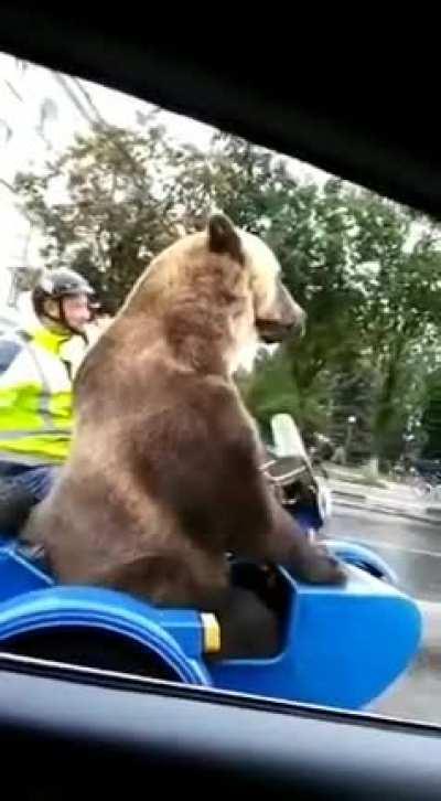 Buckle up folks, we've copilot