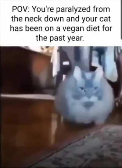 Cursed_vegan