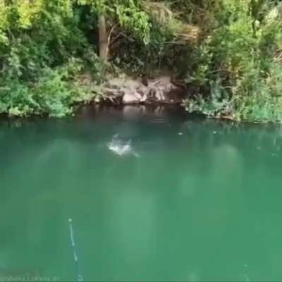 Seemed like a peaceful little swimming hole...