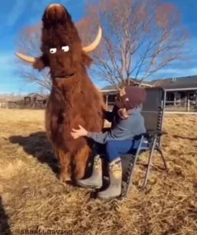 Creature loves his scritches