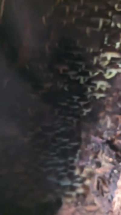 Thought you guys would appreciate this.