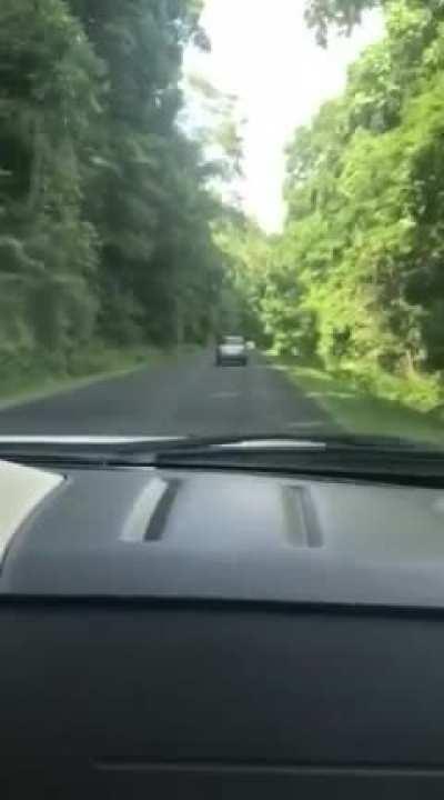 Saw idiot run a car off the road