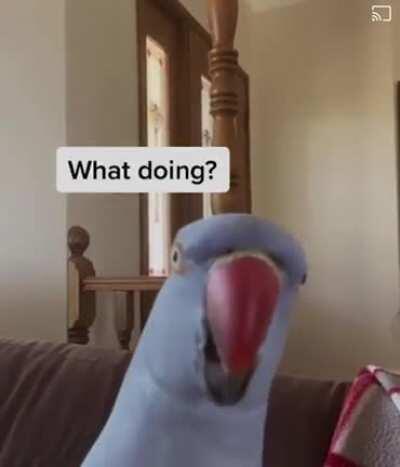 They know how to get to us.