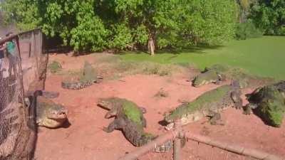 Keep your arms inside the ride