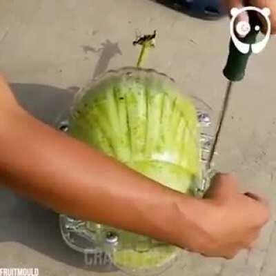 Growing fruit & Veg into any shape