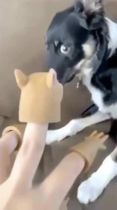 The look of absolute horror on his face