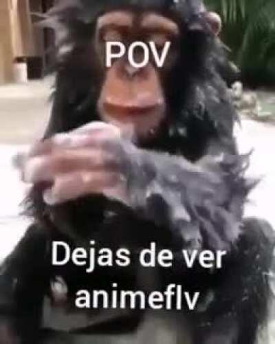 Primer post 😳toy chikito