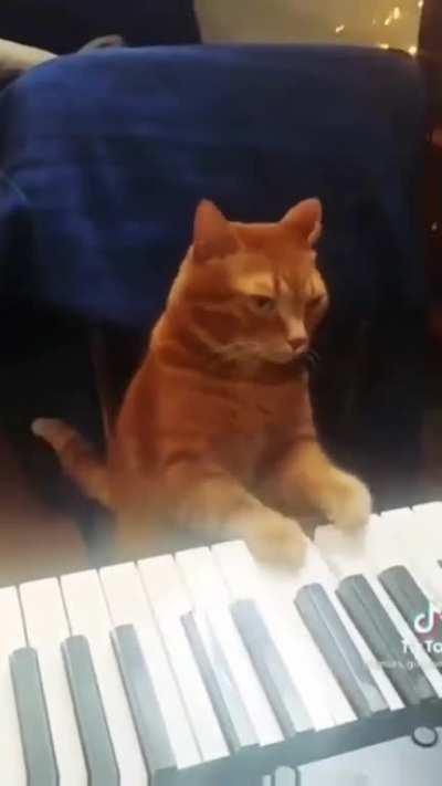 Wow ok Garfielf kinda shredding