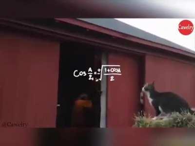 I believe I can fly. Or not.