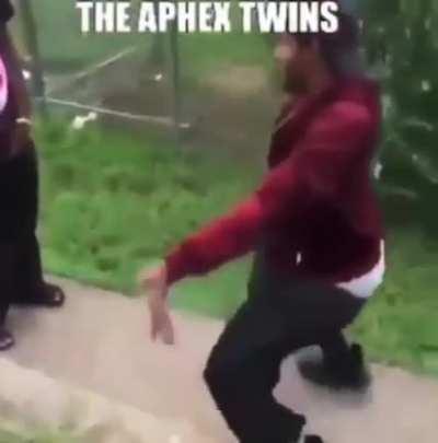 The aphex twins